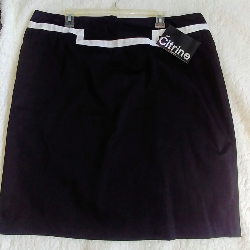 Professional Skirt